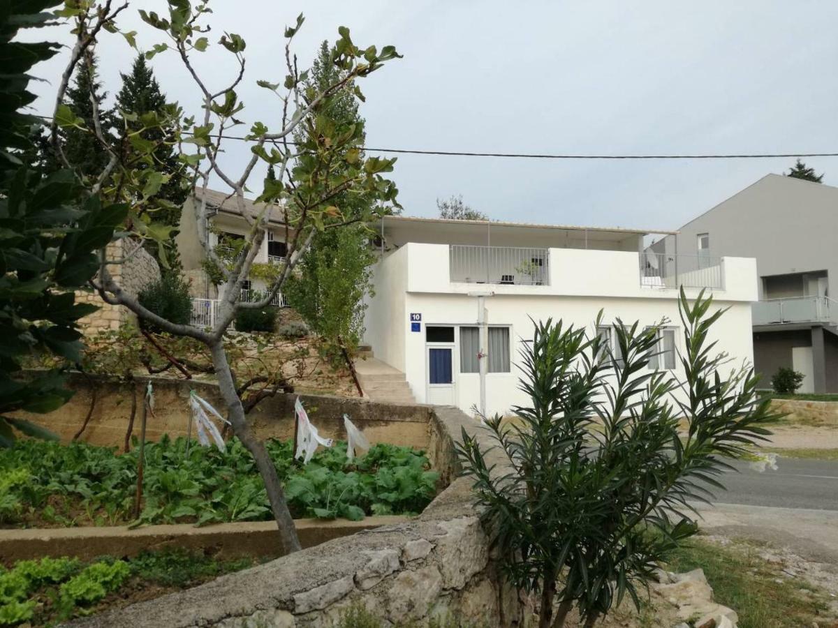 فيلا House Zara ماسلينتسا المظهر الخارجي الصورة